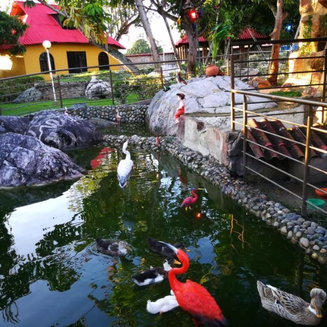 Finca Villa Alegriaチナウタ エクステリア 写真