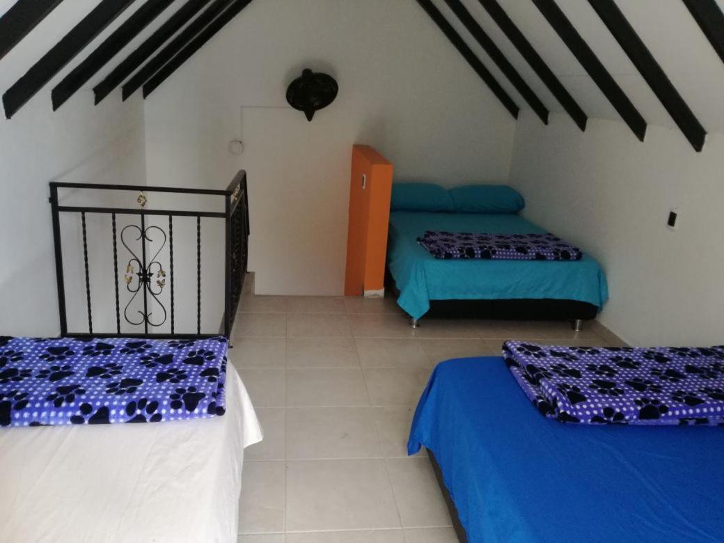 Finca Villa Alegriaチナウタ エクステリア 写真